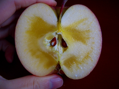 蜜入りりんごをカットするとこんな感じ。
